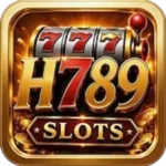 h789-game