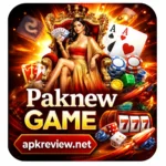 PAKNew Game