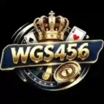 WGS456 Game
