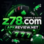 Z78 Game